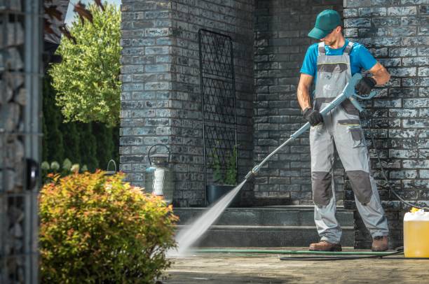 Best Roof Washing  in Morton, PA